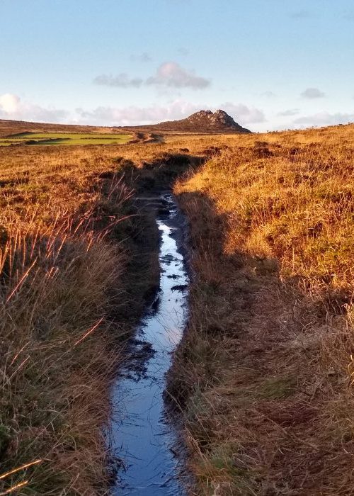 moorlands moorlands